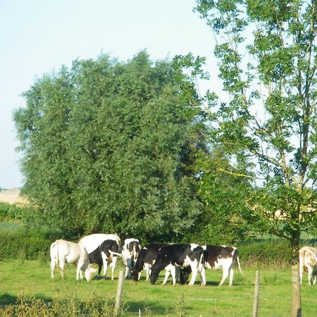 La Vallee Des Trois Monts Saint-Sylvestre-Cappel Exterior foto