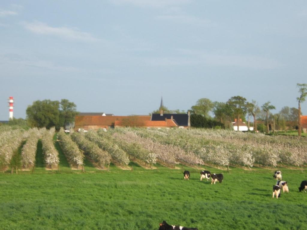 La Vallee Des Trois Monts Saint-Sylvestre-Cappel Exterior foto